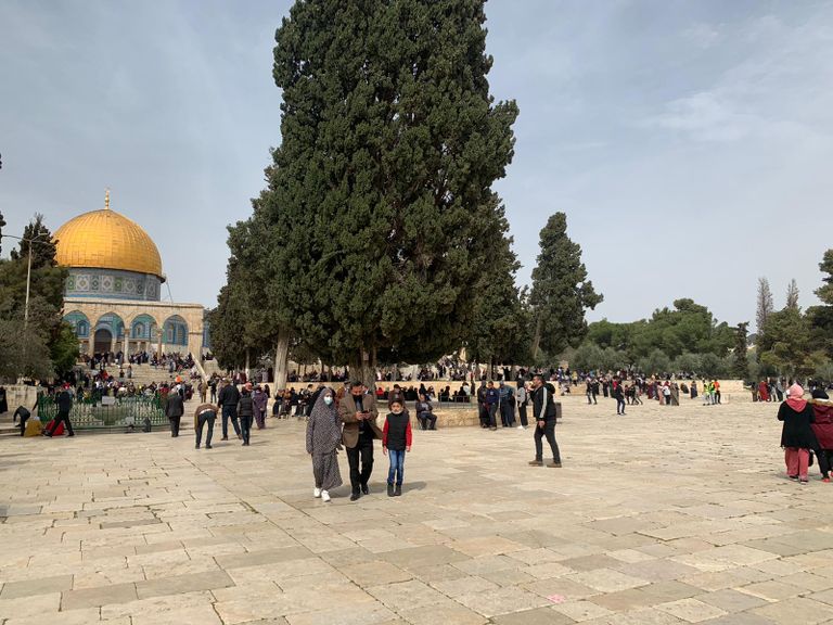 جانب من الاحتفال بالمصلى القبلي