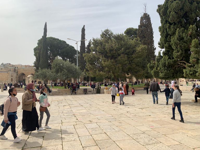 جانب من الاحتفال بالمصلى القبلي