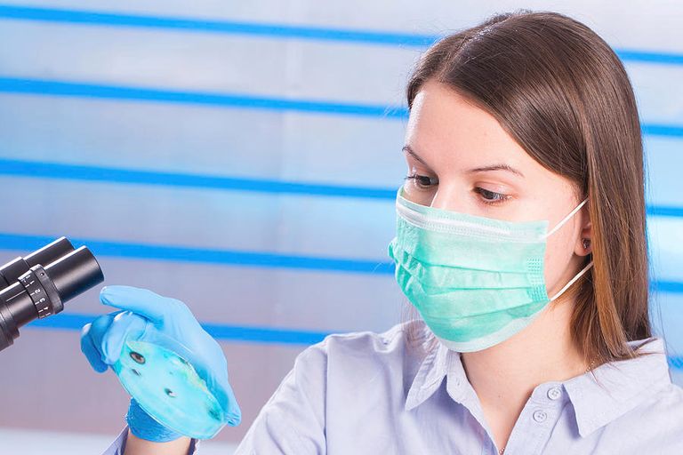 كورونا حول العالم