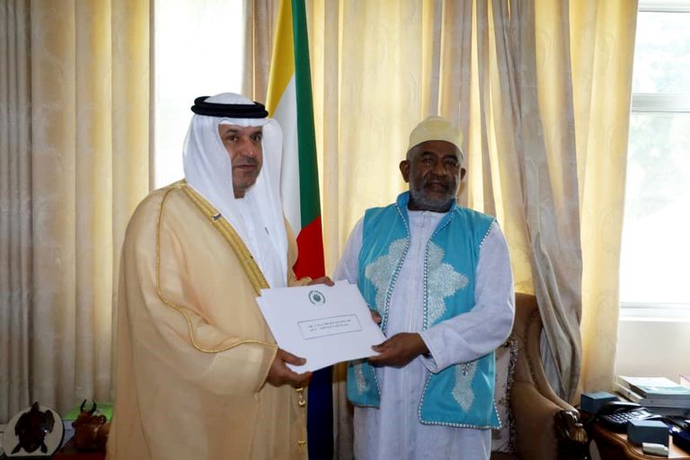 جانب من المساعدات الإماراتية خلال عملية الشحن