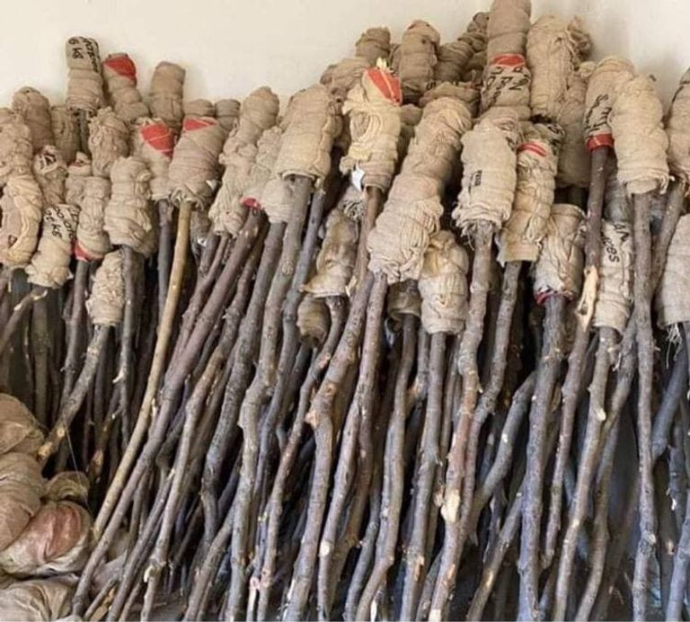 محتفلون كرد بعيد النوروز يوقدون النيران في شمال العراق