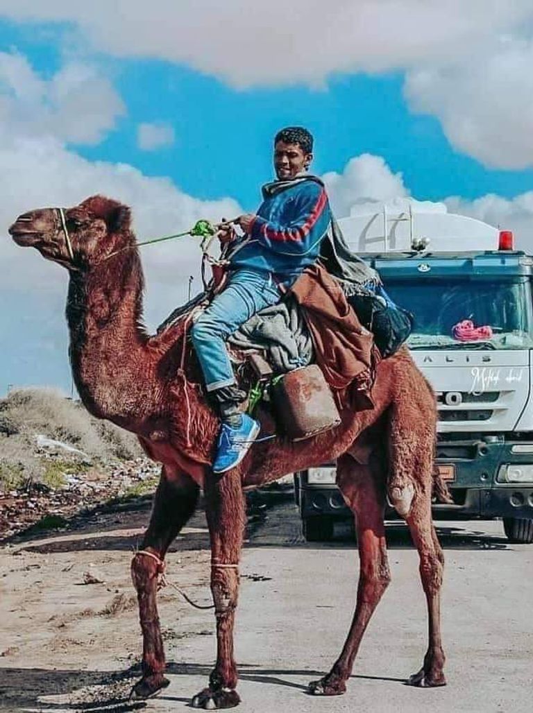 جانب من استقبال بلدية الرجبان لرحالة السلام