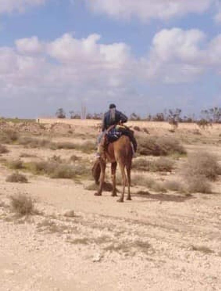 جانب من استقبال بلدية الرجبان لرحالة السلام