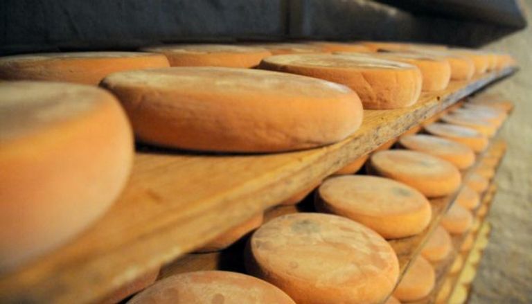 أدت جائحة كورونا إلى تراجع مبيعات الأجبان في دير سيتو بنسبة 50%