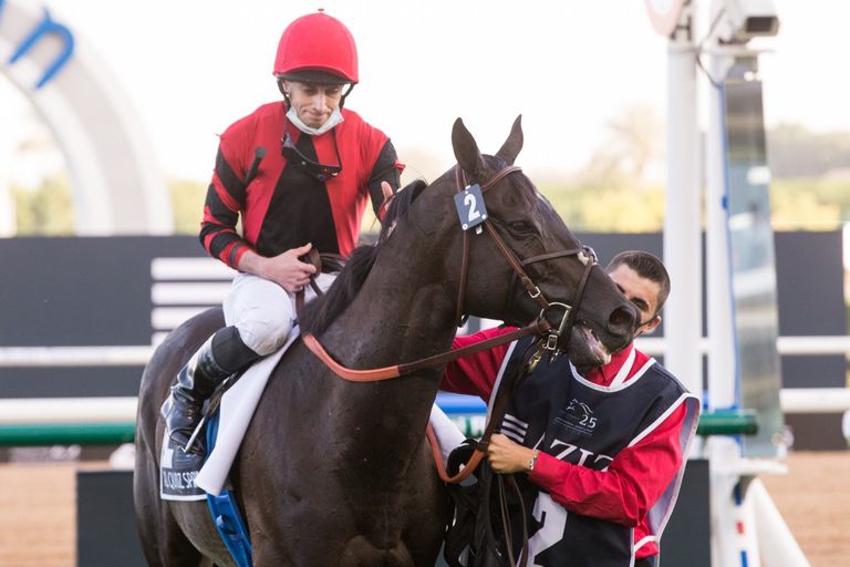 الجواد "سبجيكتيفيست"