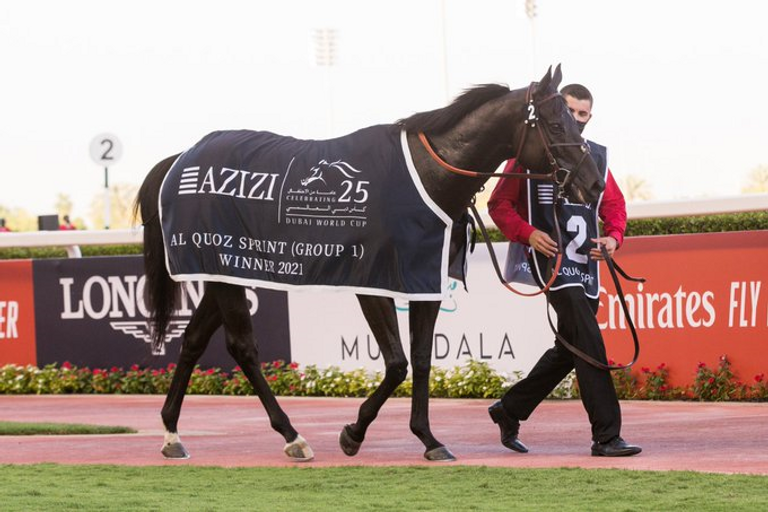 الجواد "إكسترا فاجانت كيد"