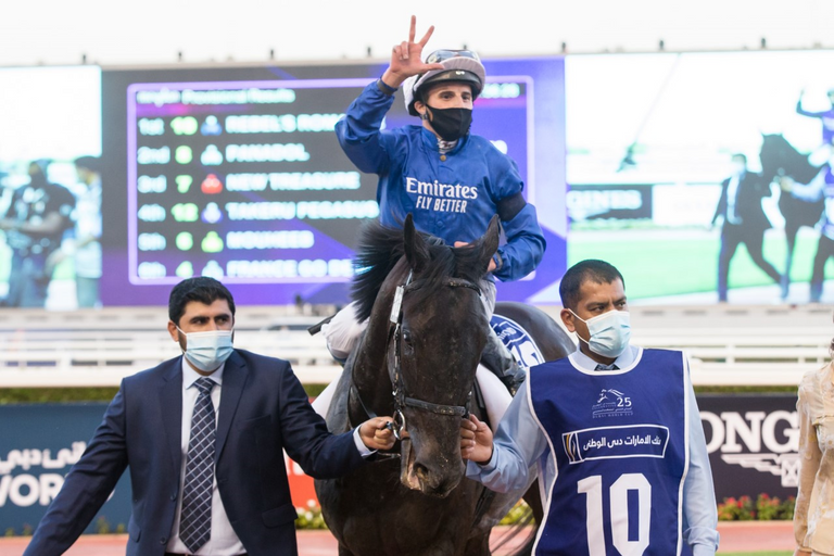 الجواد "ريبلز رومانس"