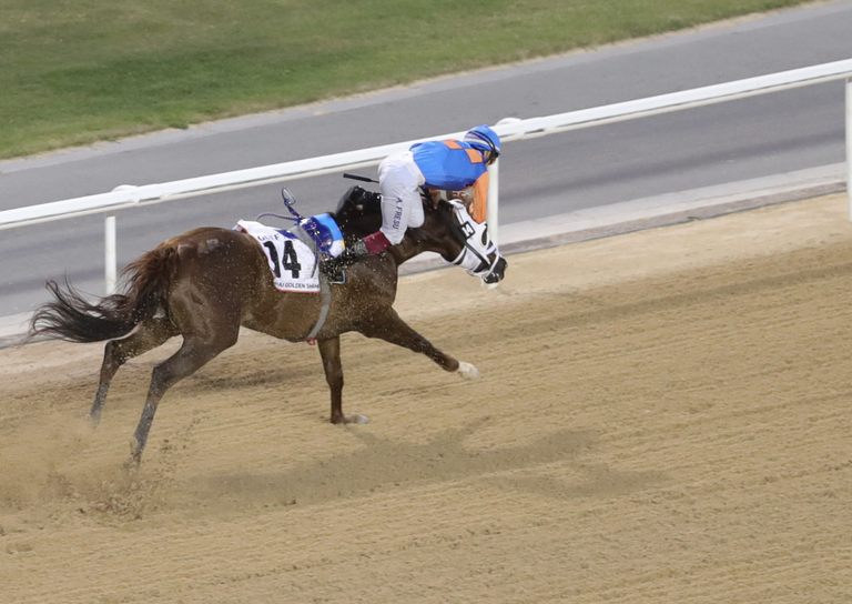 الجواد "زندن"