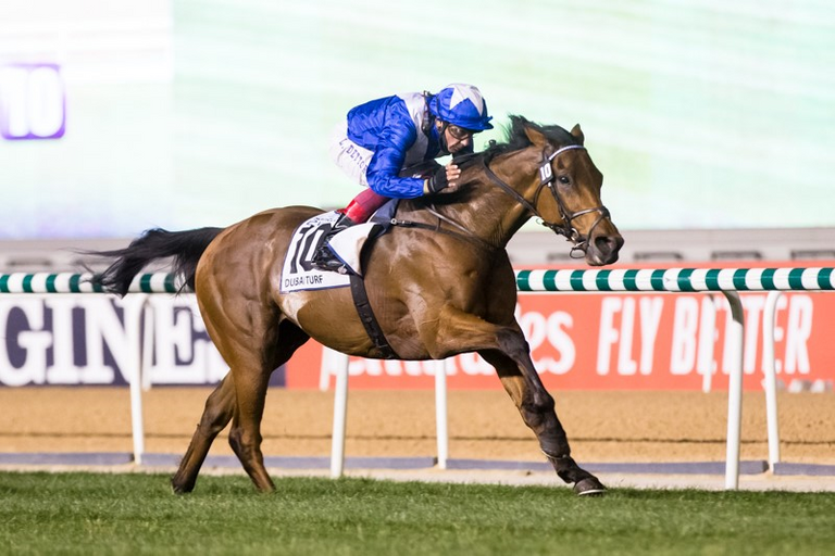 الجواد لورد نورث