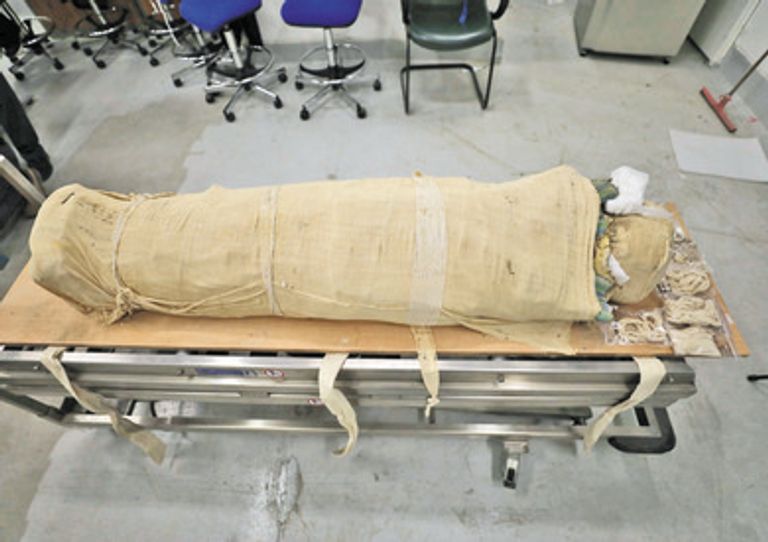 وزارة السياحة والآثار تجهز لموكب نقل المومياوات من متحف التحرير إلى متحف الحضارة