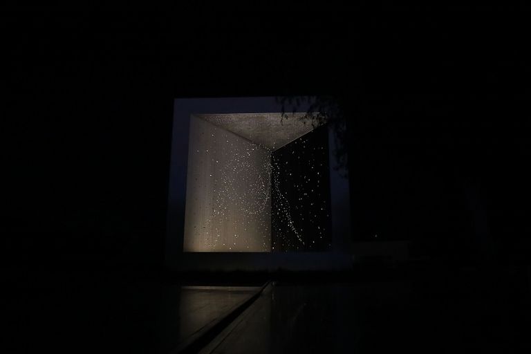 جامع الشيخ زايد الكبير يشارك في فعاليات "ساعة الأرض"