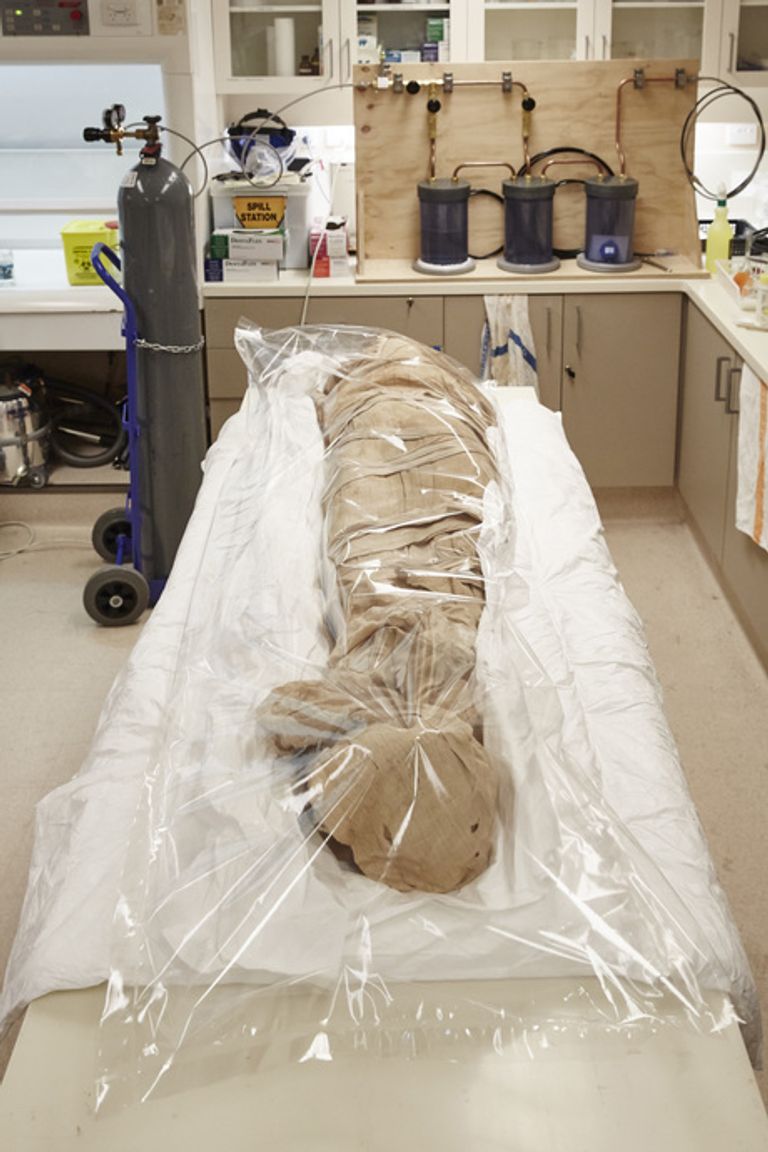 كبسولة النيتروجين