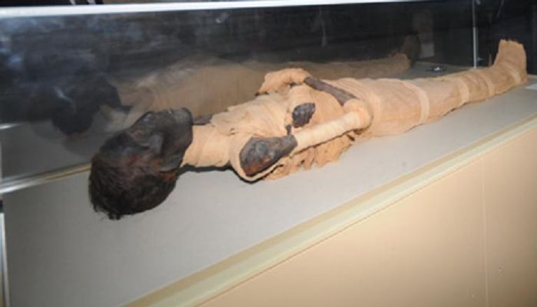 مومياء مصرية تم تجهيزها للنقل إلى متحف الحضارة بالفسطاط