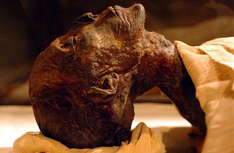 مومياء مصرية تم تجهيزها للنقل إلى متحف الحضارة بالفسطاط
