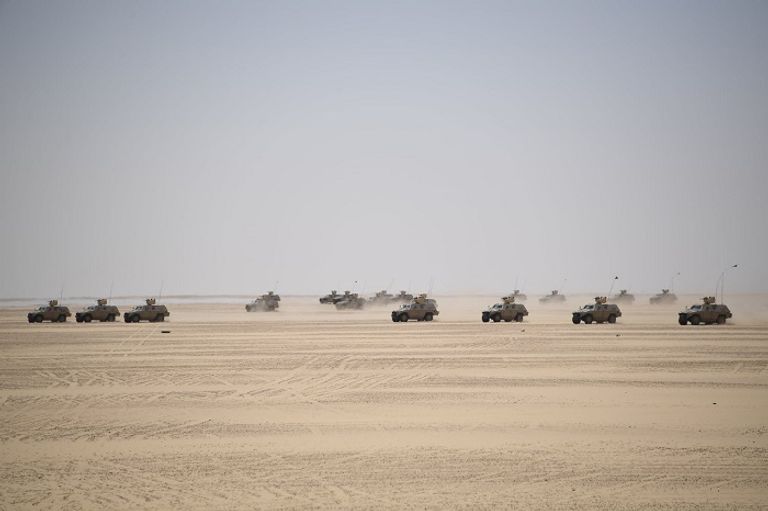 مناورة عسكرية للجيش الجزائري على الحدود مع دولة مالي