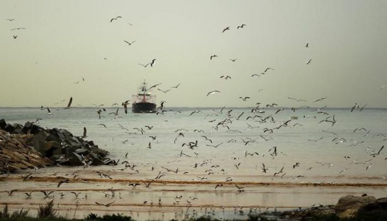 صورة أرشيفية لشواطئ سوريا
