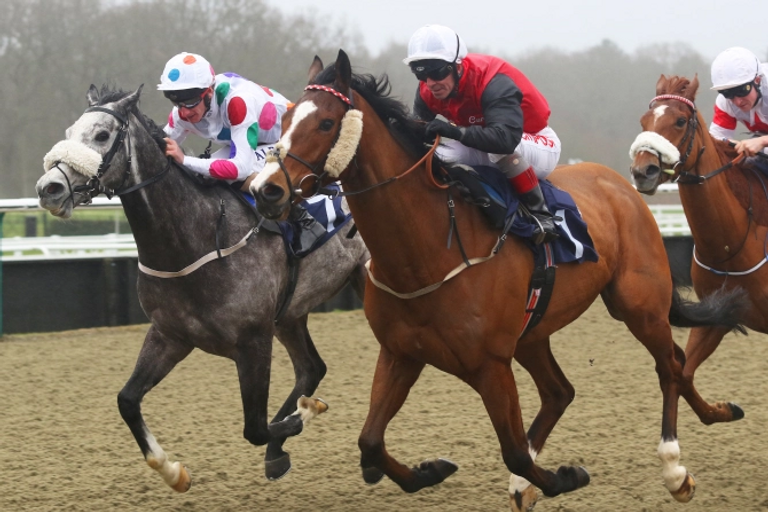 الحصان أجويرو