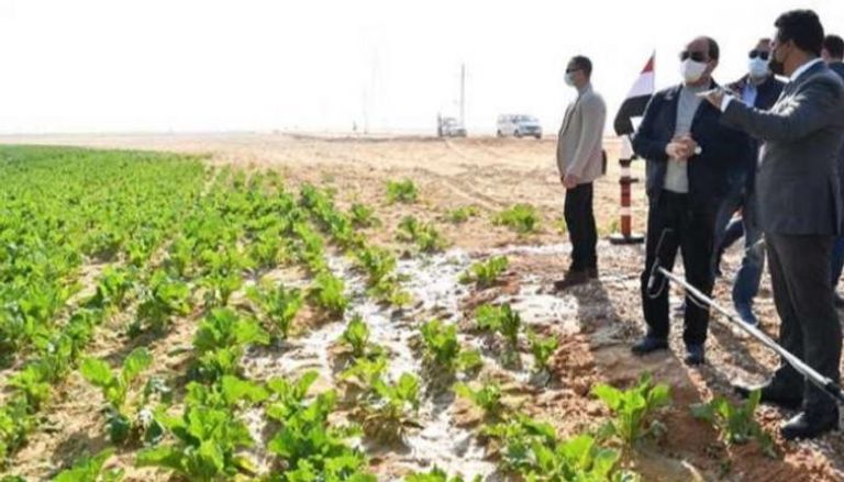 السيسي يتفقد مشروع مستقبل مصر للإنتاج الزراعي - أرشيف
