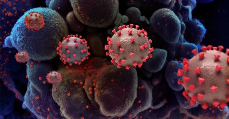 التركيب البلوري للإنزيم الرئيسي الخاص بالفيروس