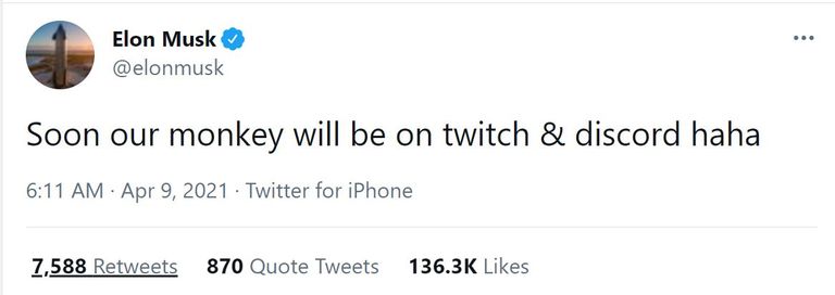 تدوينة الملياردير الأمريكي إيلون ماسك عن القرد الذكي