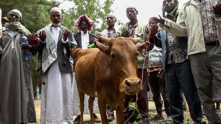 مسؤولو المجلس الإسلامي الإثيوبي أثناء مشاركتهم في الاحتفالات