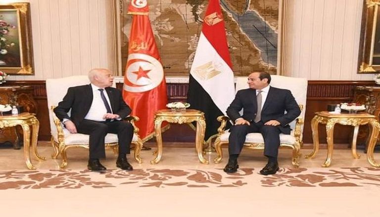 الرئيسان التونسي قيس سعيد والمصري عبد الفتاح السيسي خلال زيارة القاهرة