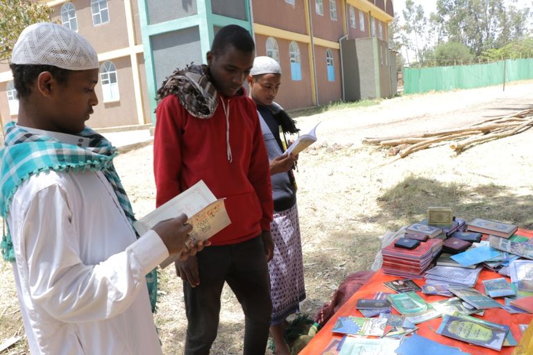 مدخل مدينة ورابي 