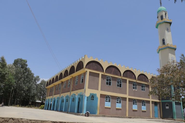 مدخل مدينة ورابي