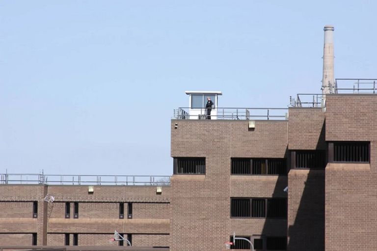 ديريك شوفين - نيويورك بوست