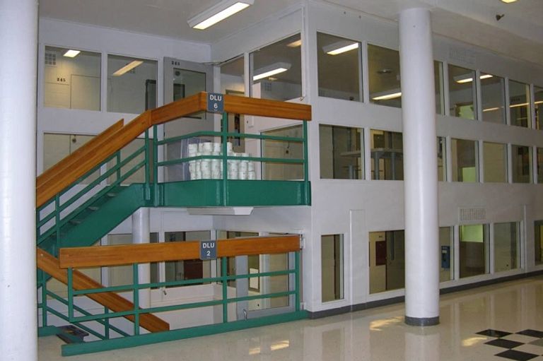 ديريك شوفين - نيويورك بوست