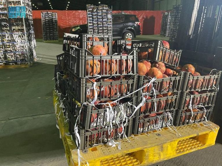 السعودية تمنع دخول الخضراوات والفواكه اللبنانية أو عبورها