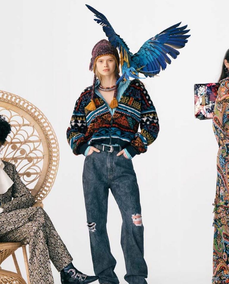 أحد الكلاب التي يتم تدريبها بالمؤسسة الإيطالية