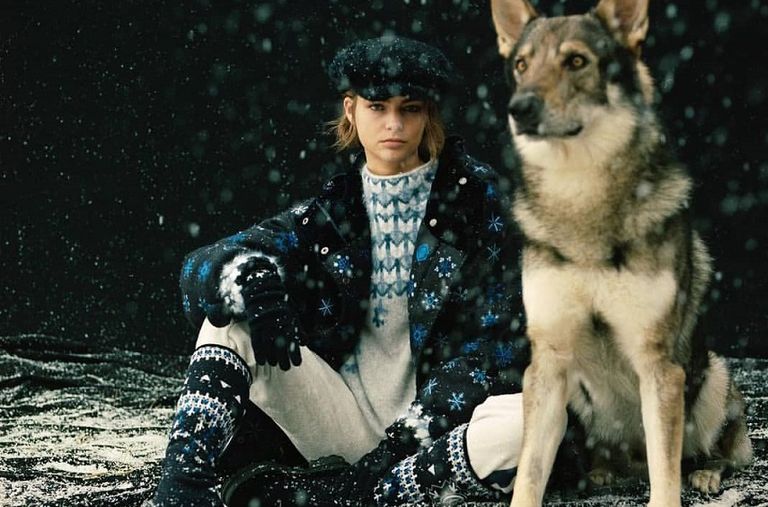 أحد الكلاب التي يتم تدريبها بالمؤسسة الإيطالية