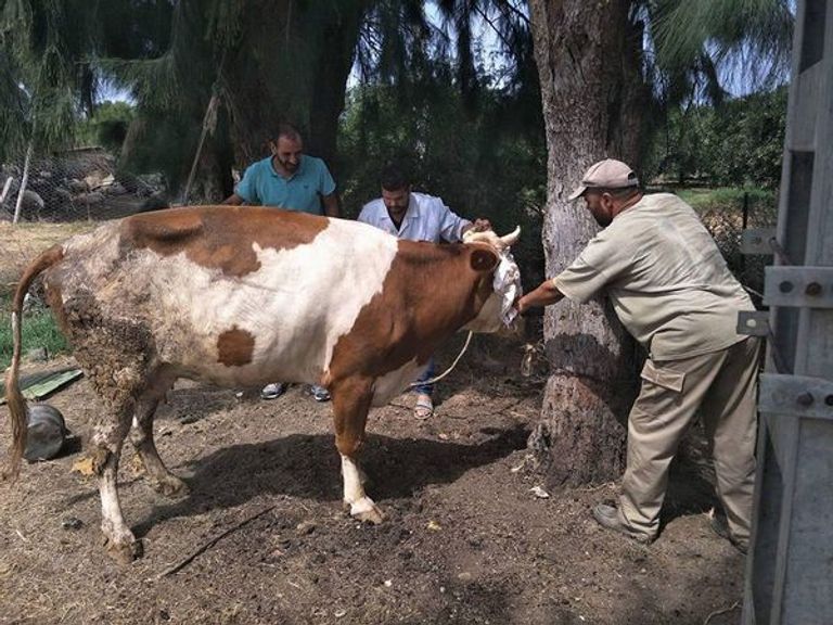 الوزيعة.. عادة جزائرية للتكافل الاجتماعي في رمضان