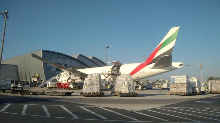 طائرة مساعدات إماراتية خلال وصولها إلى إحدى الدول الشقيقة