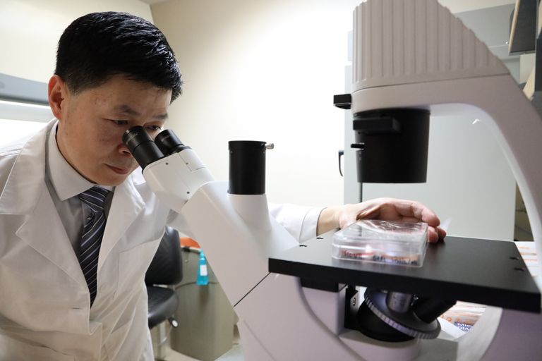 هندسة الخلايا التائية أداة فعالة تنضم للحرب على السرطان