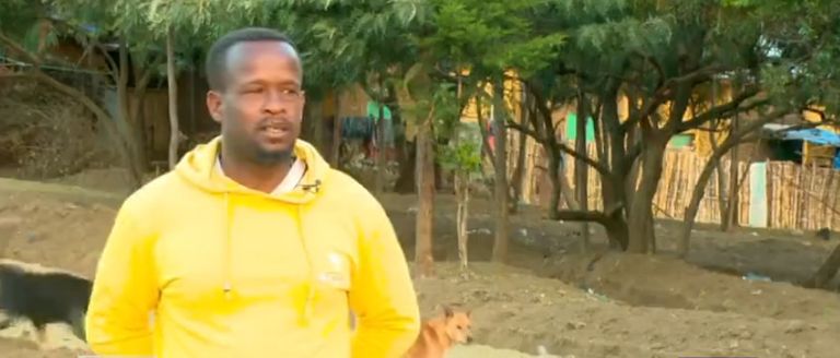 الضباع إلى جانب الكلاب بجنوب إثيوبيا 