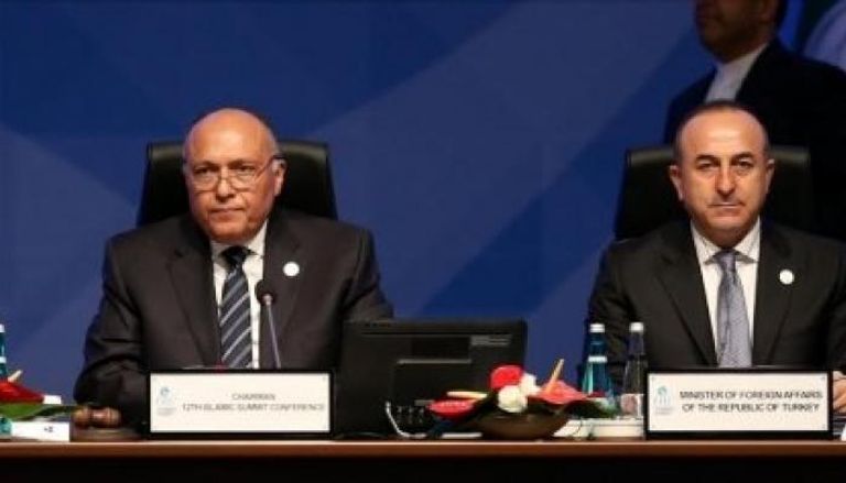 وزيرا خارجية مصر وتركيا خلال فعالية سياسية 