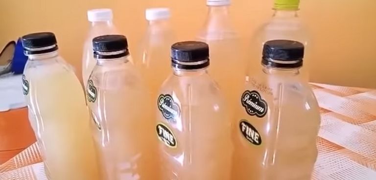 مشروب "أدفي" الجزائري لرمضان مشروب "أدفي" الجزائري لرمضان