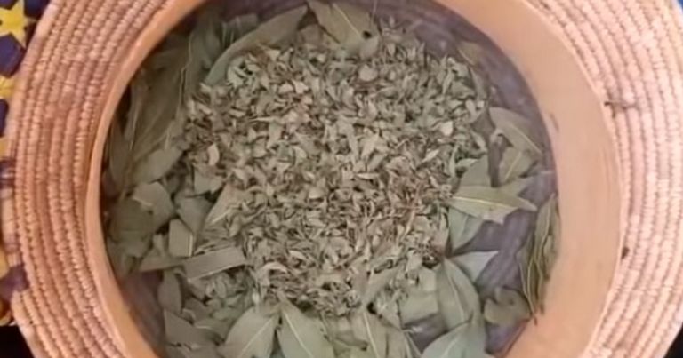 من أعشاب شراب أدفي الجزائري مشروب "أدفي" الجزائري لرمضان