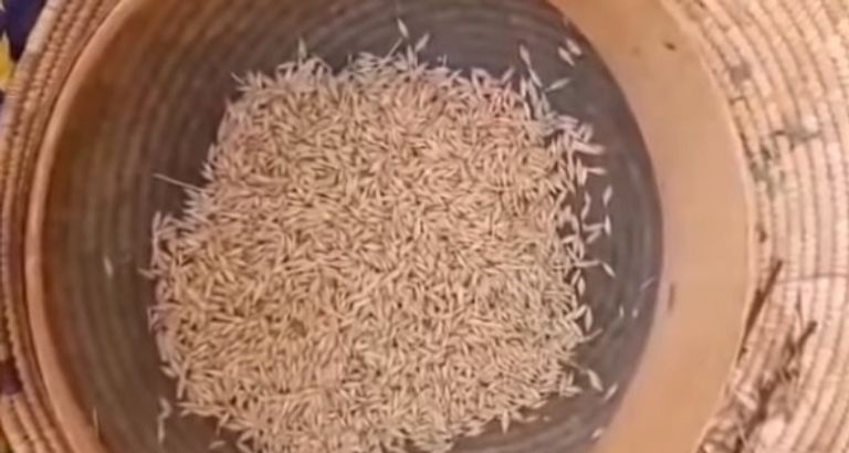 من أعشاب شراب أدفي الجزائري مشروب "أدفي" الجزائري لرمضان