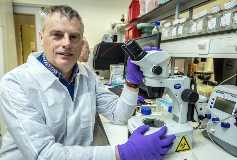 د. يوهان نيتس، أستاذ اللقاحات بمعهد ريجا ببلجيكا لقاح سينوفارم حصل على الاعتماد الدولي