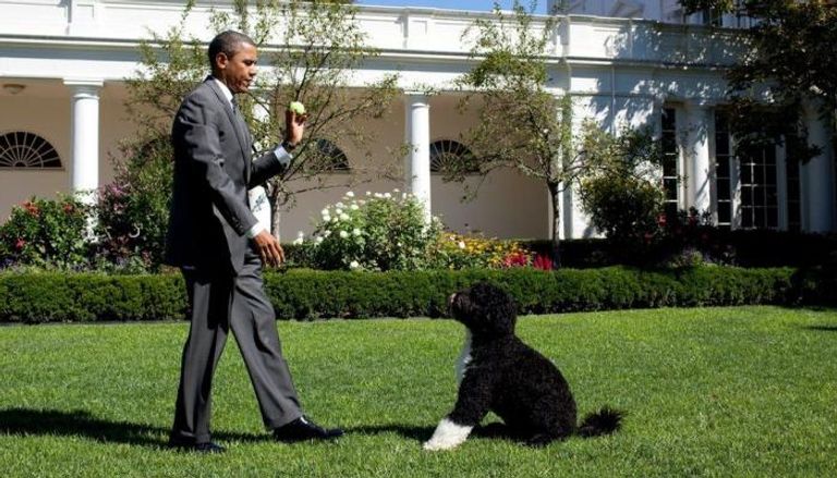 الرئيس الأمريكي الأسبق باراك أوباما مع كلبه - أرشيفية