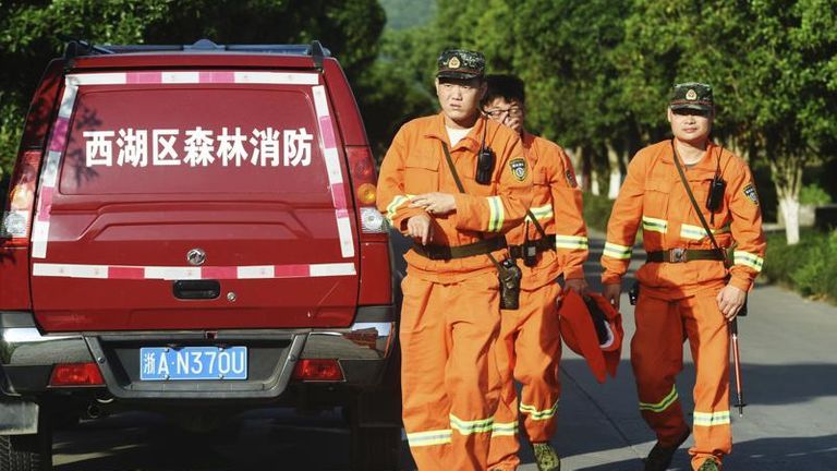 صورة لأحد الفهود الهاربة في الصين