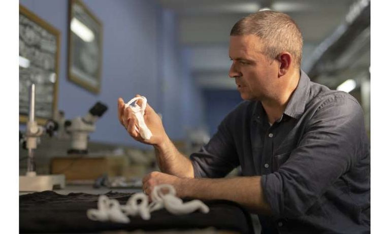 جوناه شوينير، العالم بجامعة ويتواترسراند بجنوب إفريقيا صورة متخيلة للديناصور شوفويا