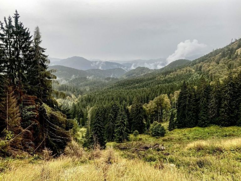  محمية كالكالبن الطبيعية بالنمسا