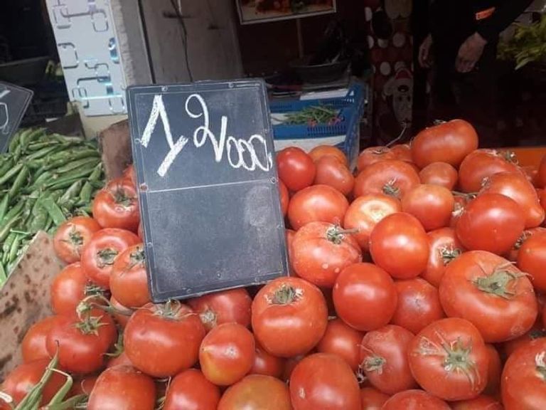 ارتفاع أسعار الطماطم في رمضان وعشية العيد بالجزائر إلى 0.90 دولار