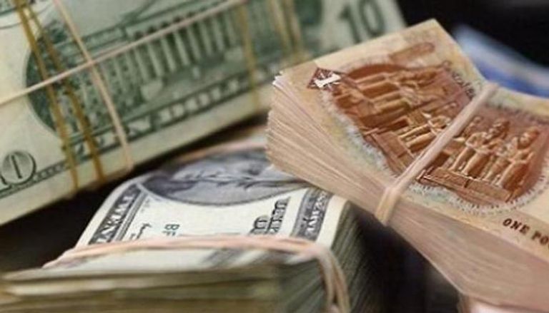 استقرار سعر الدولار في مصر اليوم السبت