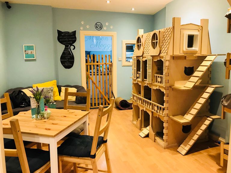 مقهى Maison De Moggy الاسكتلندي