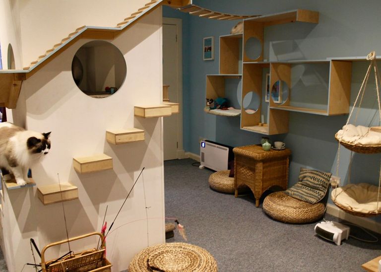 مقهى Maison De Moggy الاسكتلندي